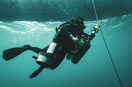 My Life Below Sea Level: Diving the Emirates and Beyond
