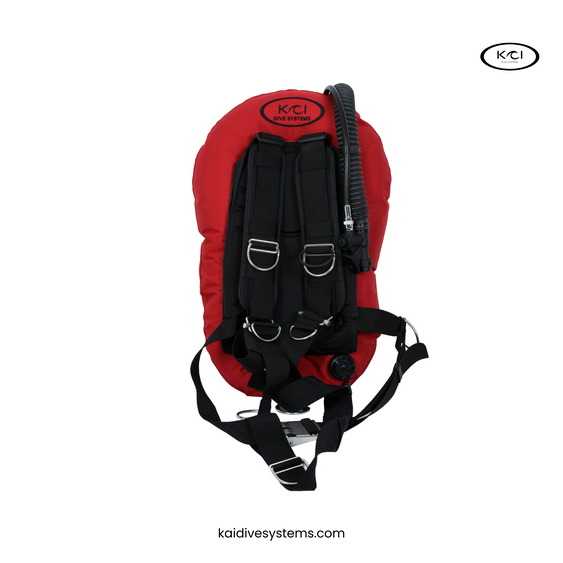 BCD VAGABOND wing 25 LBS