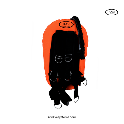 BCD VAGABOND wing 25 LBS