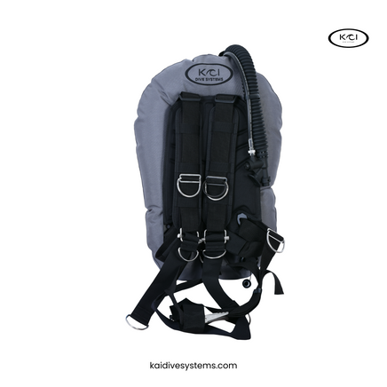 BCD VAGABOND wing 25 LBS