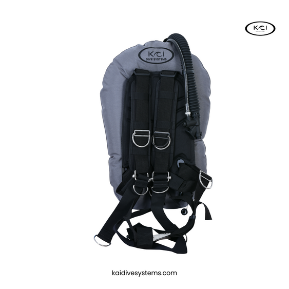 BCD VAGABOND wing 25 LBS