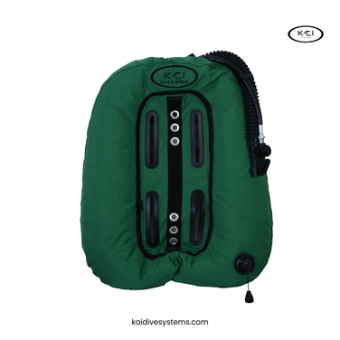 BCD VAGABOND wing 45 LBS