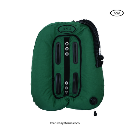 BCD VAGABOND wing 45 LBS