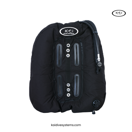 BCD VAGABOND wing 45 LBS